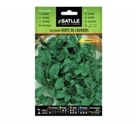 Battle - Semi Aromatici Valeriana Verte Louviers (15Cm)