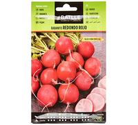 Battle - Semi Ortaggi Ravanello Rotondo Rosso SEL. Especial (1800 Semi)
