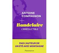 Baudelaire: L'irréductible