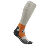 Bauerfeind Sports - Trail Run Compression Socks - Calze da running EU 46-49 - Wade S grigio