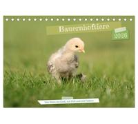 Bauernhoftiere - Von Klein bis Groß, mit Fell und mit Federn. (Tischkalender 2026 DIN A5 quer), CALVENDO Monatskalender: Auf den Bauernhöfen ist ... Federvieh und ganz viel Hufgetrappel.