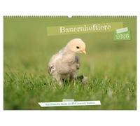 Bauernhoftiere - Von Klein bis Groß, mit Fell und mit Federn. (Wandkalender 2026 DIN A2 quer), CALVENDO Monatskalender: Auf den Bauernhöfen ist ... Federvieh und ganz viel Hufgetrappel.