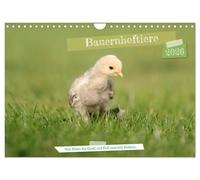 Bauernhoftiere - Von Klein bis Groß, mit Fell und mit Federn. (Wandkalender 2026 DIN A4 quer), CALVENDO Monatskalender: Auf den Bauernhöfen ist ... Federvieh und ganz viel Hufgetrappel.