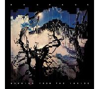 Bauhaus - Burning From The Inside