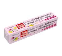 Baule volante Caramelle balsamiche biologiche con marrubio ed echinacea in stick - Sciroppo di riso, aromi naturali di eucalipto e menta - Gusto fresco e naturale per momenti piacevoli