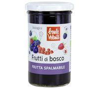 Baule volante Crema spalmabile di frutti di bosco biologici - More, mirtilli, lamponi e ribes rosso - Dolcificata naturalmente - Gusto delicato e autentico