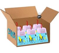 Bauli Mini Pandoro Mare Fuori Pandorino Soffice con Sorpresa 90g [CAIYA® BOX da 6 Pandorini]