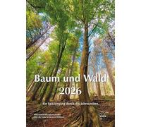 Baum und Wald 2026: Ein Spaziergang durch die Jahereszeiten