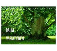 Baum-Variationen (Tischkalender 2026 DIN A5 quer), CALVENDO Monatskalender: Ob als Wald, Allee oder einzelstehender Blickfang - Bäume bereichern unsere Welt unverzichtbar und nachhaltig.