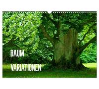 Baum-Variationen (Wandkalender 2026 DIN A3 quer), CALVENDO Monatskalender: Ob als Wald, Allee oder einzelstehender Blickfang - Bäume bereichern unsere Welt unverzichtbar und nachhaltig.
