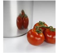 BAUMALU Catering in acciaio inox + coperchio in vetro - 30 cm