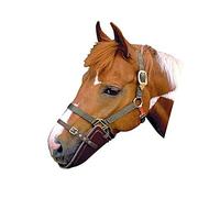 BAVETTA MEZZA MUSERUOLA ANTIMORSO IN PLASTICA HALF MUZZLE EQUINE BIB ANTI BITE