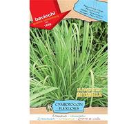 Bavicchi busta semi Citronella