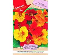 Bavicchi busta semi fiori Nasturzio nano miscuglio