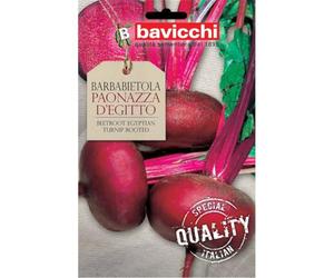 Bavicchi buste semi orto plus (Barbabietola paonazza d'Egitto)