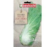 Bavicchi buste semi orto plus (Cicoria pan di zucchero)