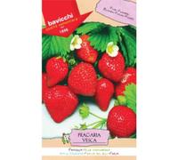 Bavicchi buste semi orto plus (Fragola)