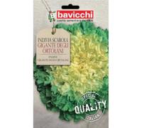 Bavicchi buste semi orto plus (Indivia scarola gigante degli ortolani)