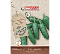BAVICCHI PEPERONCINO JALAPENO M SEMI CHILI HOT PIMENT SEMI