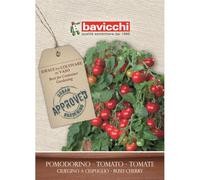 Bavicchi buste semi orto plus (Pomodorino ciliegino a cespuglio)