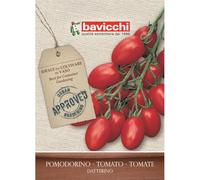 Bavicchi buste semi orto plus (Pomodorino datterino)