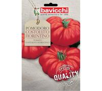 Bavicchi buste semi orto plus (Pomodoro costoluto fiorentino)