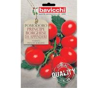 Bavicchi buste semi orto plus (Pomodoro principe borghese da appendere)