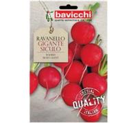 Bavicchi buste semi orto plus (Ravanello gigante siculo)