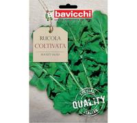 Bavicchi buste semi orto plus (Rucola coltivata)