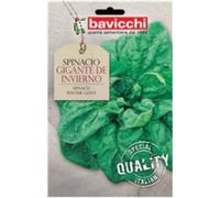 Bavicchi buste semi orto plus (Spinacio gigante de invierno)