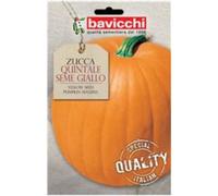 Bavicchi buste semi orto plus (Zucca quintale seme giallo)