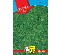 Bavicchi miscuglio semi per tappeti erbosi Bermuda grass mix 100g