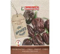 BAVICCHI PEPERONCINO HABANERO CHOCOLATE SEMI PICCANTE