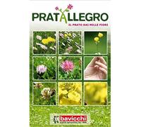 Bavicchi Pratallegro 1kg, il prato dai mille fiori