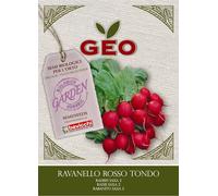 Bavicchi Ravanello Rosso Tondo - 8 g