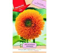 Bavicchi Semi di Girasole Doppio Ornamentale 4g Helianthus annuus