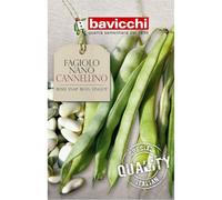 Bavicchi semi fagiolo nano cannellino 250g