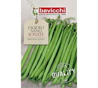 Bavicchi semi fagiolo nano sonate 250g