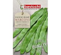 Bavicchi semi fagiolo rampicante marconi 500g grano bianco