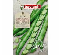 Bavicchi semi Fava Superaguadulce Golia 250g