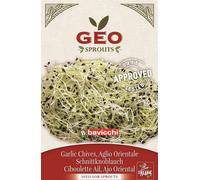Bavicchi Semi per Germogli di Aglio Orientale Bio - 6 g