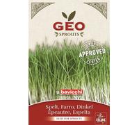 Bavicchi Semi per Germogli di Farro Bio - 80 g