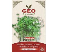 Bavicchi Semi per Germogli di Rucola Bio - 30 g
