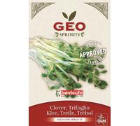 Bavicchi Semi per Germogli di Trifoglio Bio - 50 g
