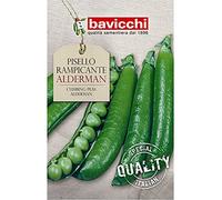 Bavicchi semi Pisello rampicante Alderman 500g