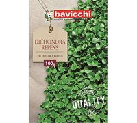 Bavicchi semi prato dichondra repens (100g)