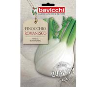 Bavicchi VFI04 Busta semi Finocchio romanesco