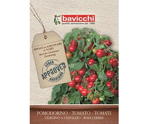 Bavicchi VPM6407 Busta semi Pomodorino Ciliegino a cespuglio