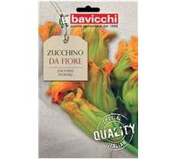 Bavicchi buste semi orto plus (Zucchino da fiore)
