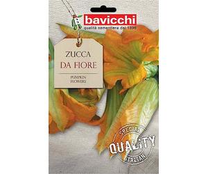 Bavicchi VZU29 Busta semi Zucca da fiore